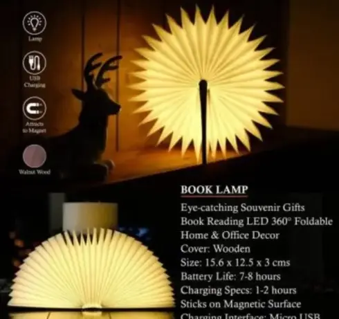 Book lamp